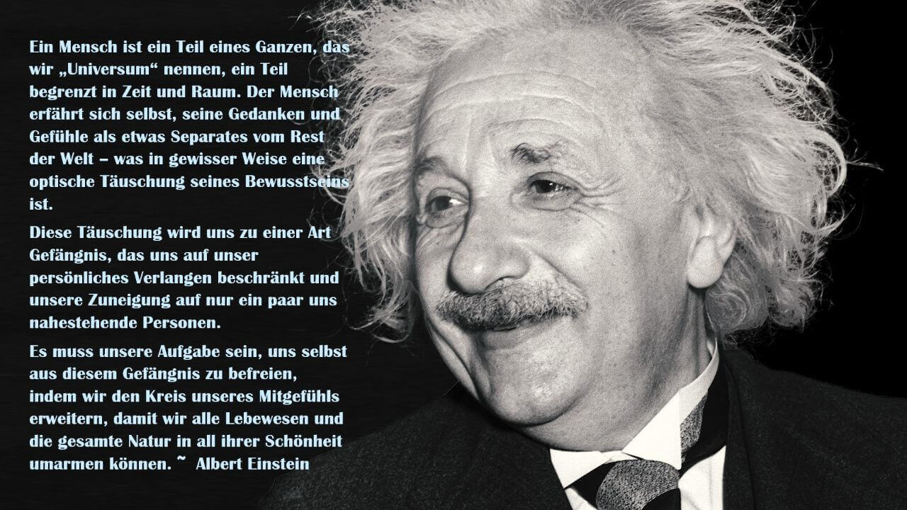 Zitat Einstein